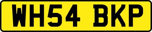 WH54BKP