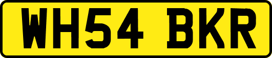 WH54BKR