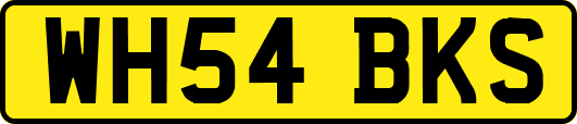 WH54BKS
