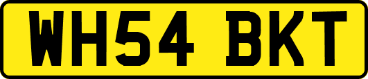 WH54BKT