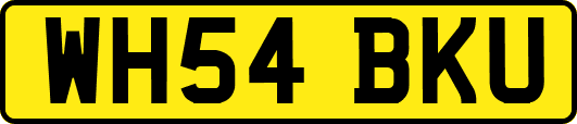 WH54BKU