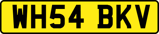WH54BKV