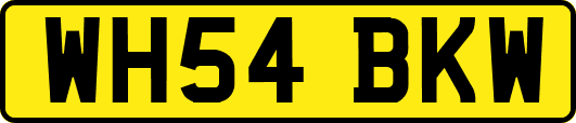 WH54BKW