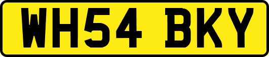 WH54BKY