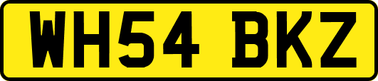 WH54BKZ