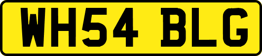 WH54BLG