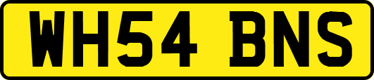 WH54BNS