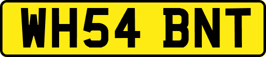 WH54BNT