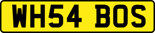 WH54BOS