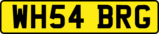 WH54BRG
