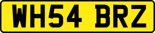WH54BRZ