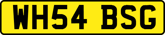 WH54BSG