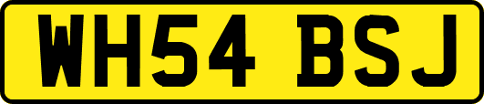 WH54BSJ