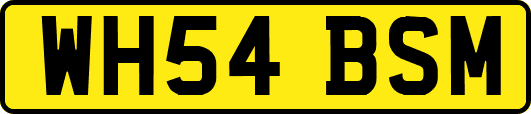 WH54BSM