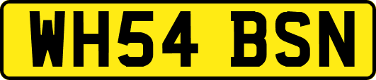 WH54BSN