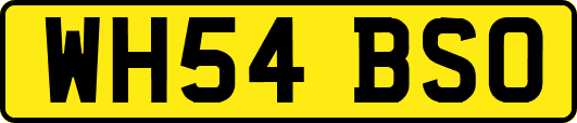 WH54BSO