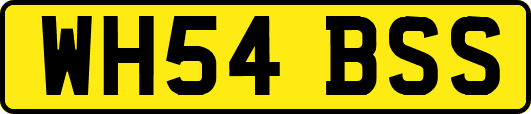 WH54BSS