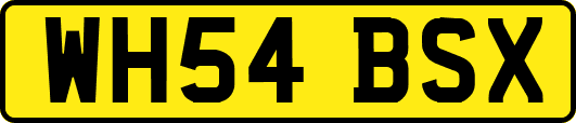WH54BSX