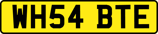 WH54BTE