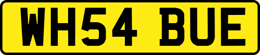 WH54BUE