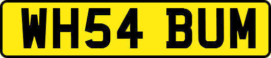 WH54BUM