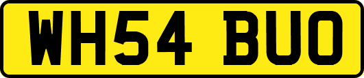 WH54BUO