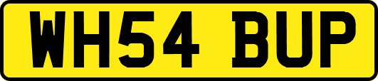 WH54BUP