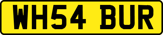 WH54BUR