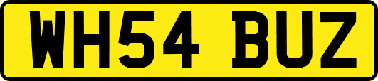 WH54BUZ