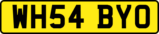 WH54BYO