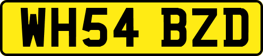 WH54BZD