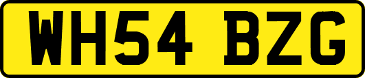 WH54BZG