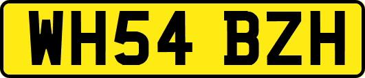 WH54BZH
