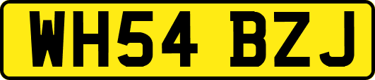 WH54BZJ