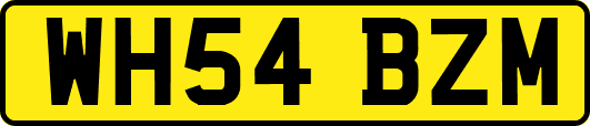 WH54BZM