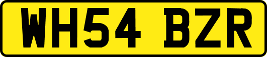 WH54BZR