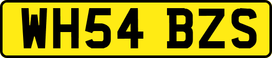 WH54BZS