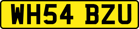 WH54BZU