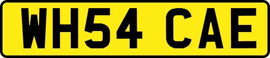 WH54CAE