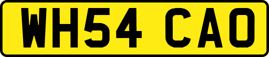 WH54CAO