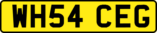 WH54CEG