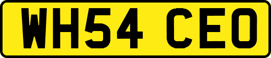 WH54CEO