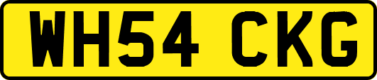 WH54CKG