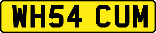 WH54CUM