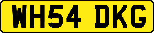 WH54DKG