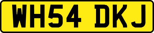 WH54DKJ