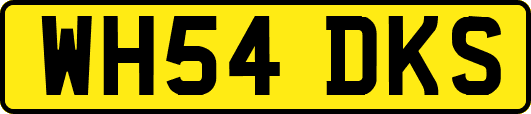 WH54DKS