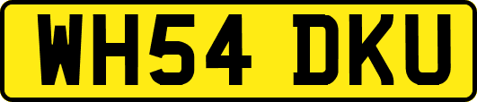 WH54DKU