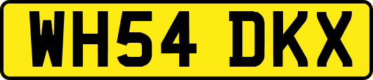 WH54DKX