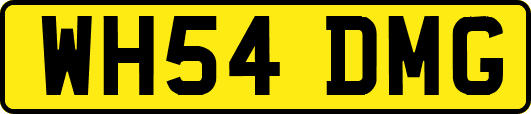 WH54DMG